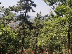 -灵岩山风景区