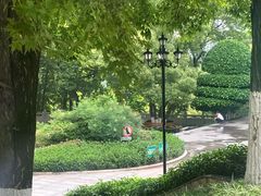 -龙头寺公园