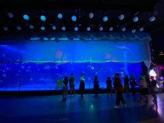 -烟台海昌鲸鲨海洋公园