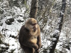 -九峰山