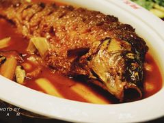 红烧黄河大鲤鱼-阿五黄河大鲤鱼(海尚店)