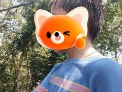 -青龙山国家森林公园