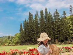 -深圳仙湖植物园-停车场