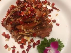 -长沙猫歌音乐餐厅(湖南女子大学店)