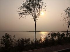 -呼兰河口湿地公园