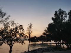 -宝安西湾红树林湿地公园