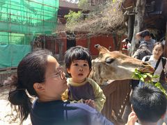 -长鹿旅游休博园