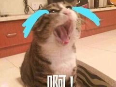 -亮马河饭店翠雅咖啡厅