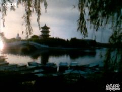 -莱西月湖公园