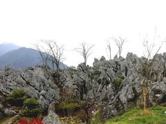 -千岛湖石林