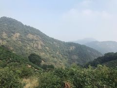 -西湖风景区十里琅珰-五云山