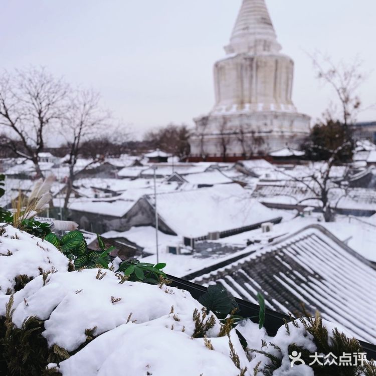 白塔寺绝佳取景位的宝藏咖啡馆太美啦