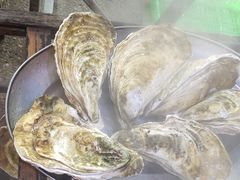-蚝专家(北滘店)