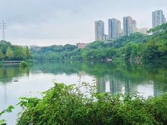 -重庆彩云湖湿地公园