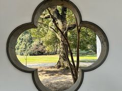 -上海共青森林公园