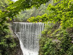 -大奇山国家森林公园