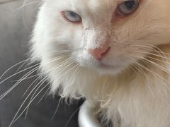 -無鱼咖啡店(淇澳岛店)