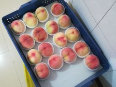 -老袁家蜜桃农场·阳山水蜜桃