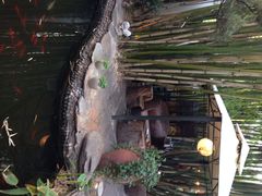 iphone_upload_pic-新竹里馆·花园餐厅(兴苑路店)