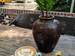 -樹下遇见树·咖啡