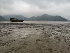 -北岐滩涂