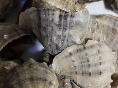 -宾朋海鲜特色美食餐厅·纯手工鲅鱼水饺(兴海路店)