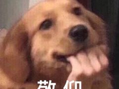 -渝是乎川渝小炒(新世界百货望京店)