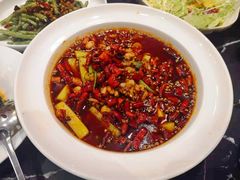 馋嘴蛙-大鸭梨烤鸭(石佛营店)