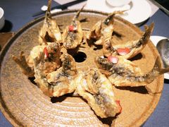 -翠府(翠湖北路店)