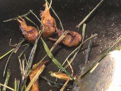 -一煲鸽