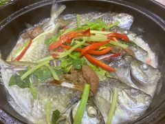 -老明馨潮汕大排档