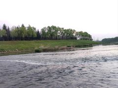 -洨河生态公园