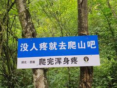 -鹿院坪生态旅游景区