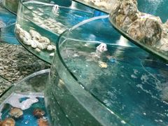 -蓝珊甄选海鲜自助·火锅大排档(近阿那亚店)