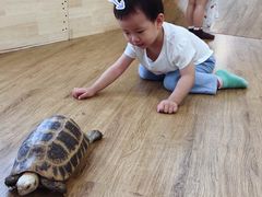 -123育儿园(百子湾校区)