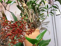 -花二家·生活馆(六运小区店)