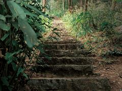 -青龙山国家森林公园