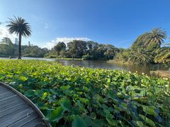 -墨尔本皇家植物园