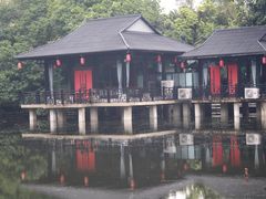 -荔湾湖公园