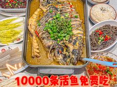 -鱼酷活鱼烤鱼(大观园万达店)
