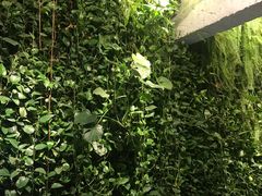 -外婆家(杭州马塍店·杭帮菜名店)