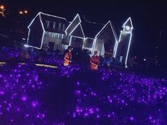 -大塘金香草谷
