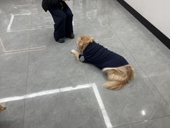-贝利宠物医院·骨科·眼科·肿瘤转诊中心(南坪诊疗中心)