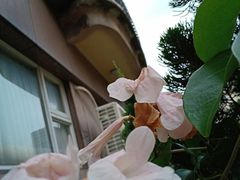 -随意鸟地方101观景餐厅