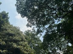 -福清灵石山国家森林公园
