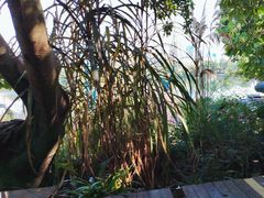 -悦哉·派对·草坪婚礼·围炉煮茶(三圣乡店)
