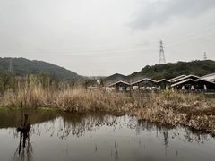 -西湖风景区-江洋畈生态公园