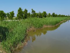 -南大港湿地风景区