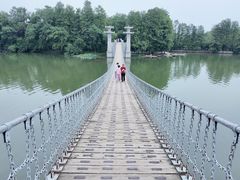 -东湖落雁景区