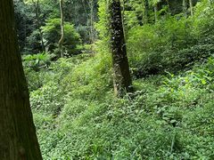 -青城山